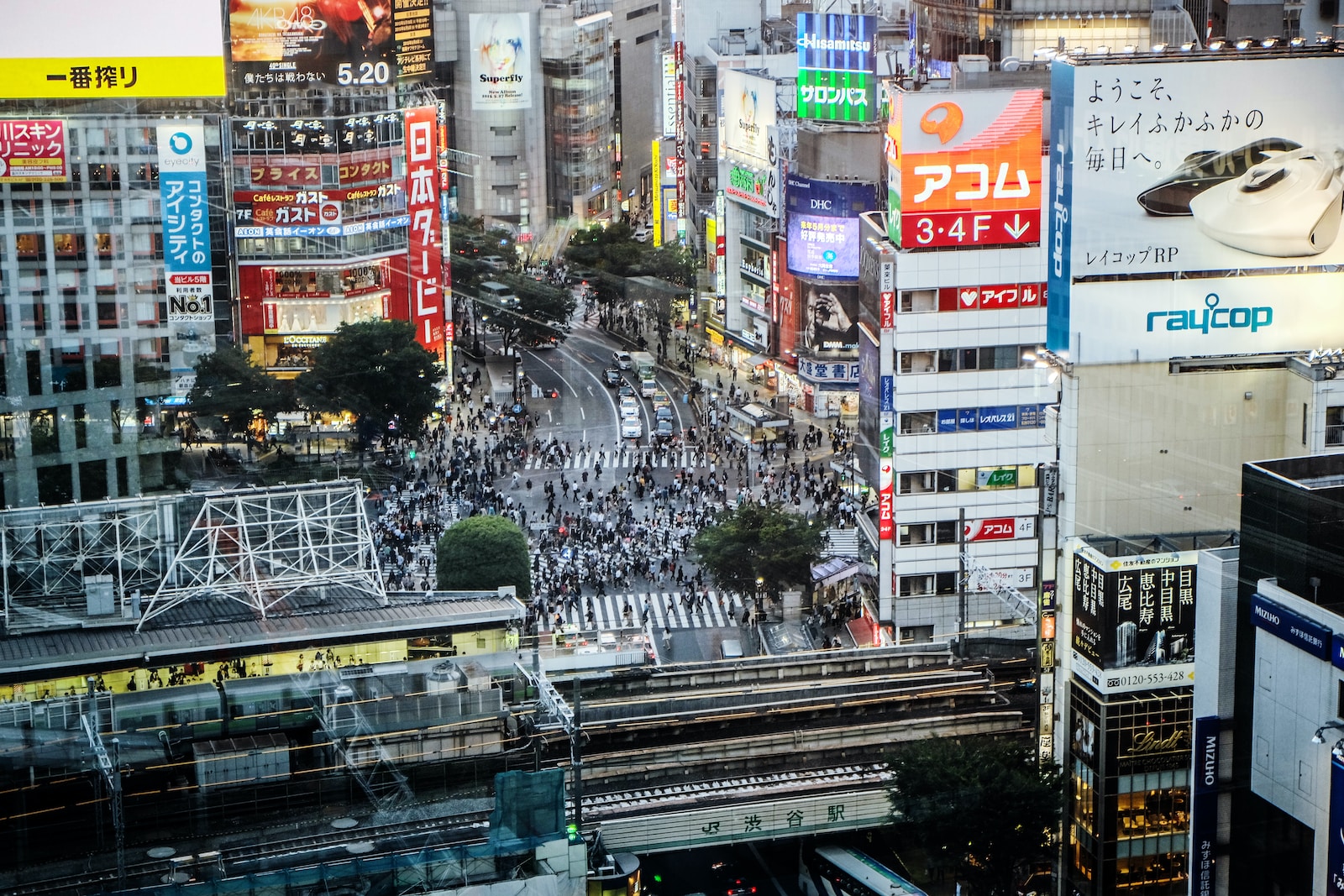 創業時代構建一個有效運轉的企業框架